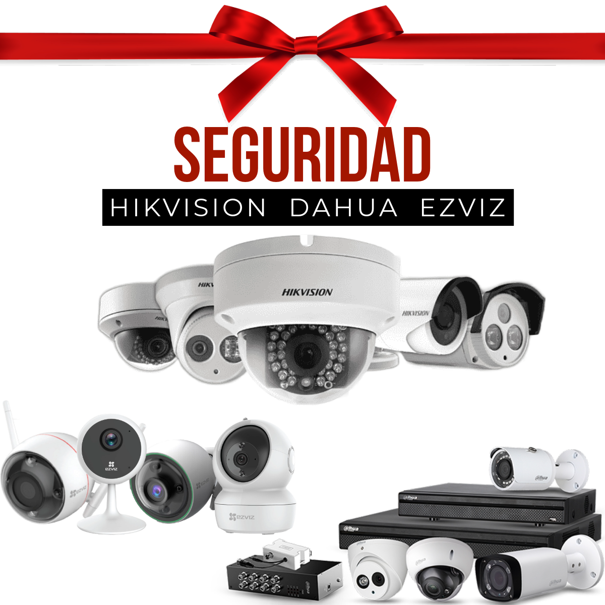 Seguridad
