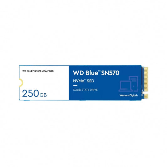 UNIDAD SSD WDS250G3B0C WD